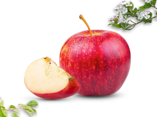 Dried Apple