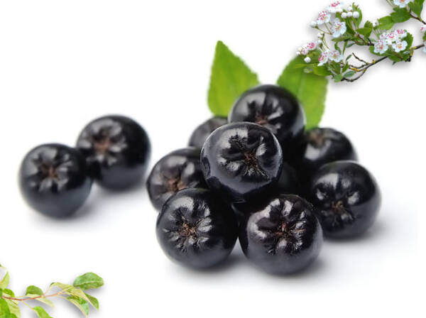 Dried Chokeberry