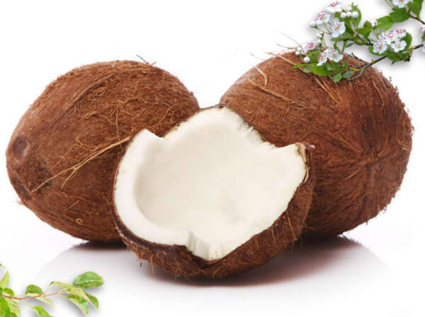 Dried Coconut