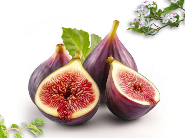 Dried Fig