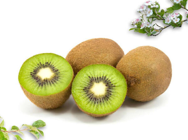Dried Kiwi