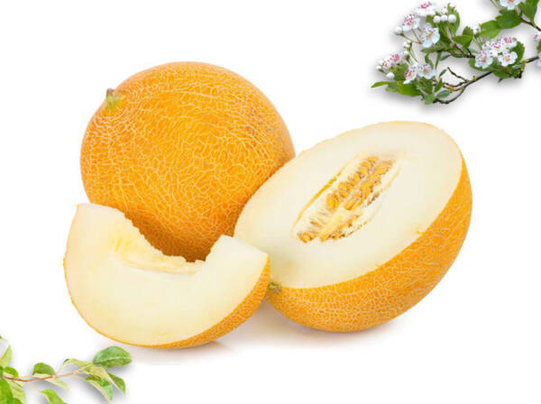 Dried Melon