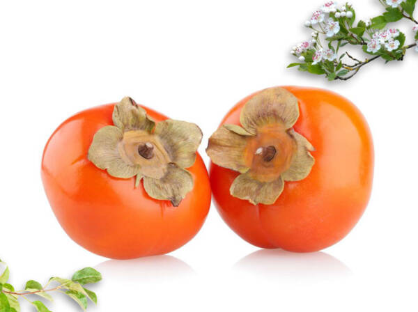 Dried Persimmon