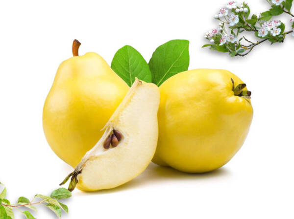 Dried Quince