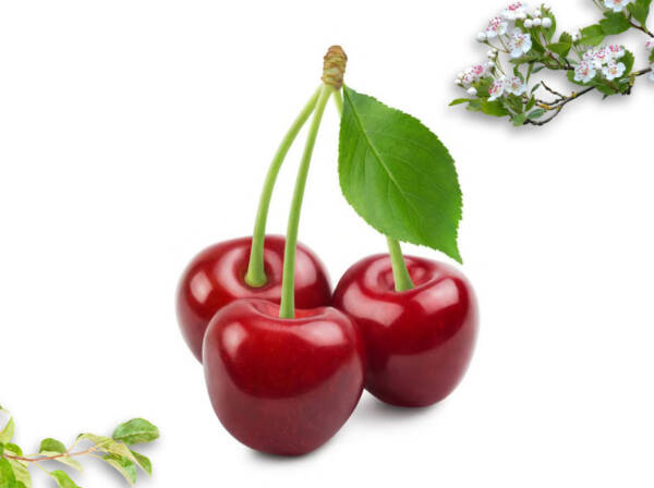 Dried Sour Cherry