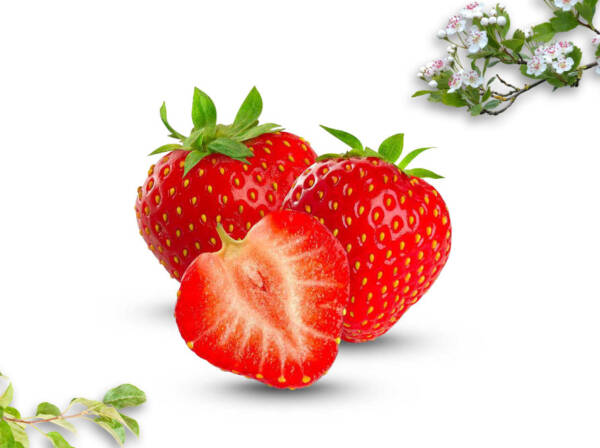 Dried Strawberry